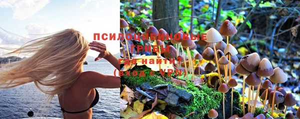 МДМА Арсеньев